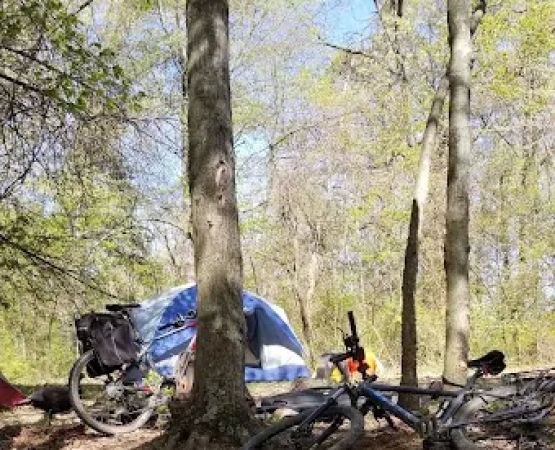 Campsite 100