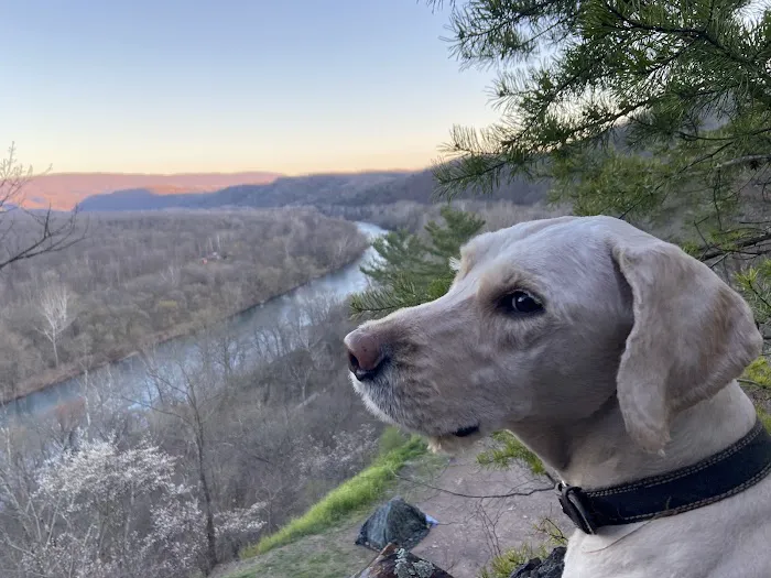 Green Ridge State Forest Campground 6