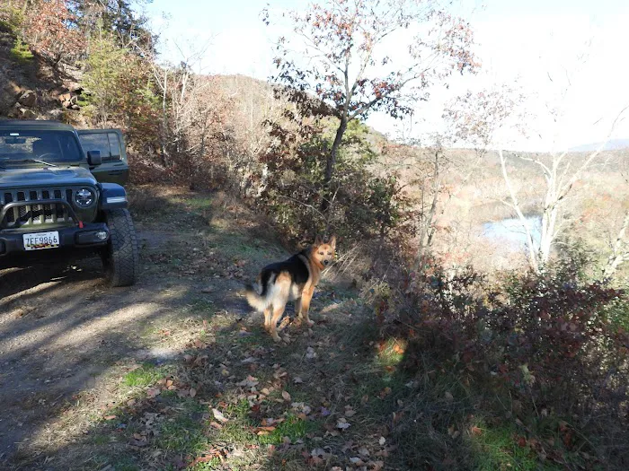 Green Ridge State Forest Campground 9