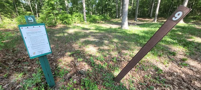 Green Ridge State Forest Camp Site #9 0