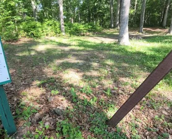 Green Ridge State Forest Camp Site #9