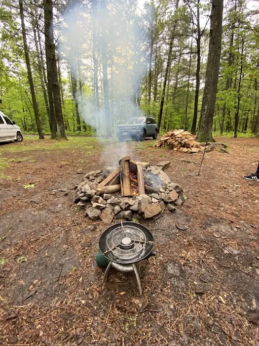 Green Ridge State Forest Campsite 16 0
