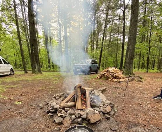 Green Ridge State Forest Campsite 16