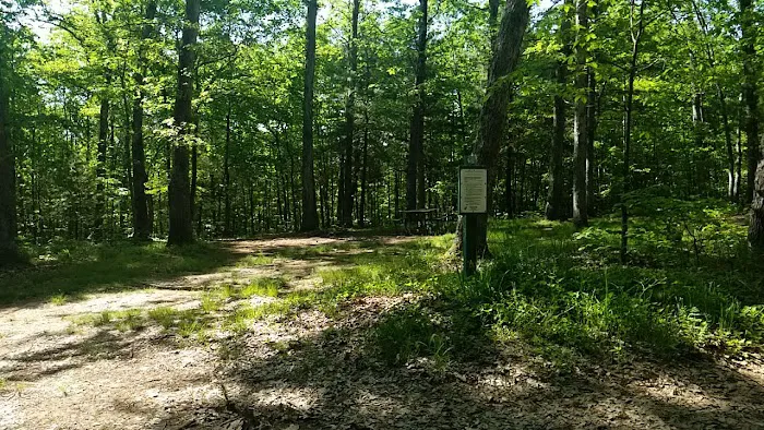 Green Ridge State Forest Campsite 16 2