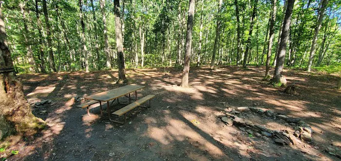 Green Ridge State Forest Campsite 17 1