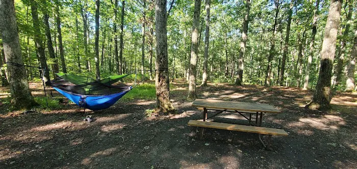 Green Ridge State Forest Campsite 17 2