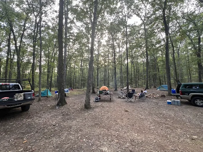 Green Ridge State Forest Campsite 17 0