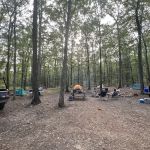 Green Ridge State Forest Campsite 17