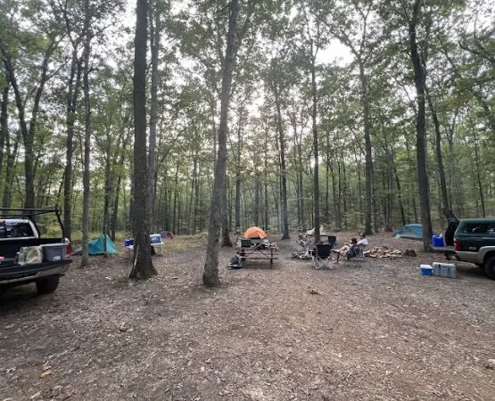 Green Ridge State Forest Campsite 17