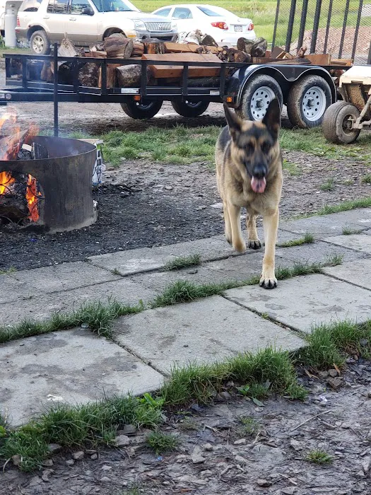 Sawmill Campground 6