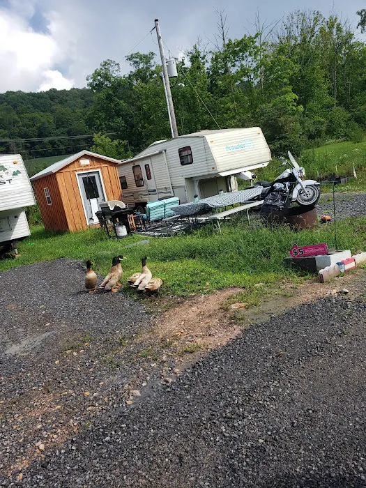 Sawmill Campground 5
