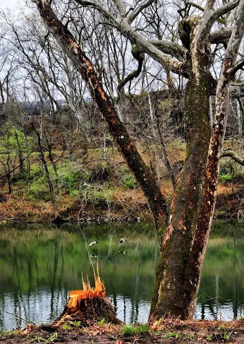 Rivers Edge on the Potomac Campground 2