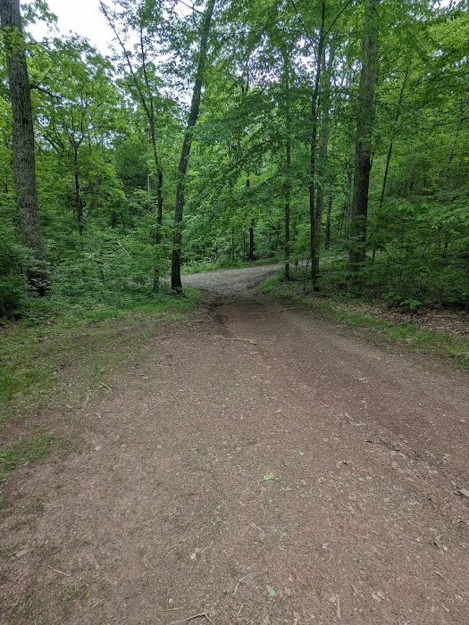 Campsite 53 0