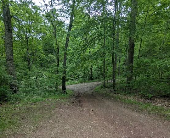 Campsite 53