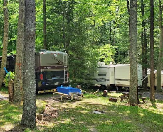 Mason-Dixon Campground