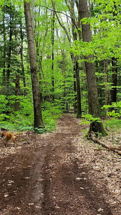 Mason-Dixon Campground 5