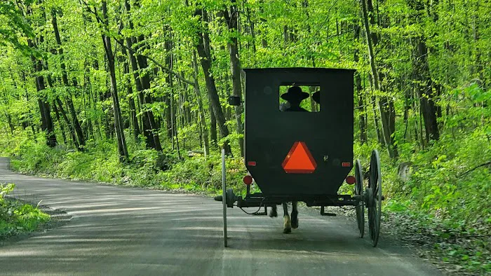 Mason-Dixon Campground 8