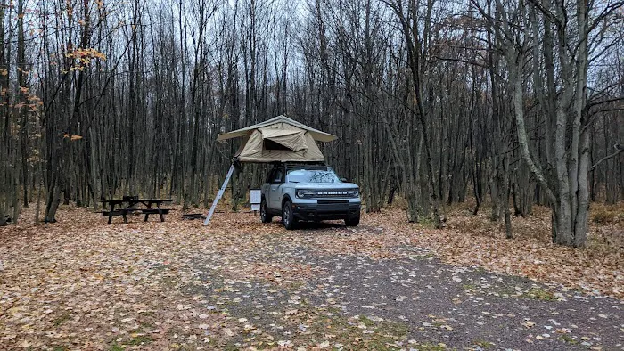 Forbes State Forest Motorized Site 6 2