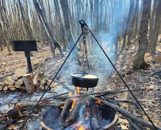 Forbes State Forest Motorized Site 6