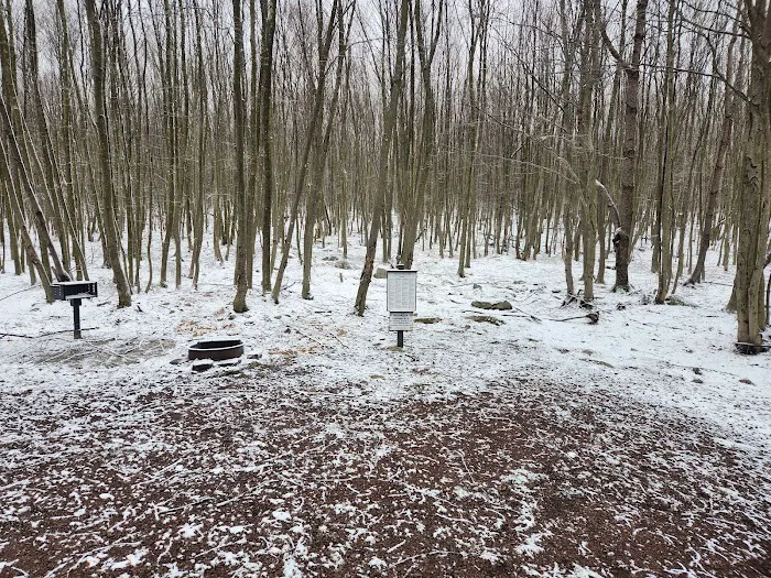 Forbes State Forest Motorized Site 6 1