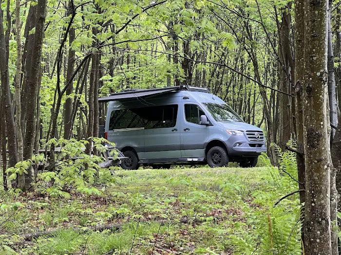 Forbes State Forest Motorized Site 6 4