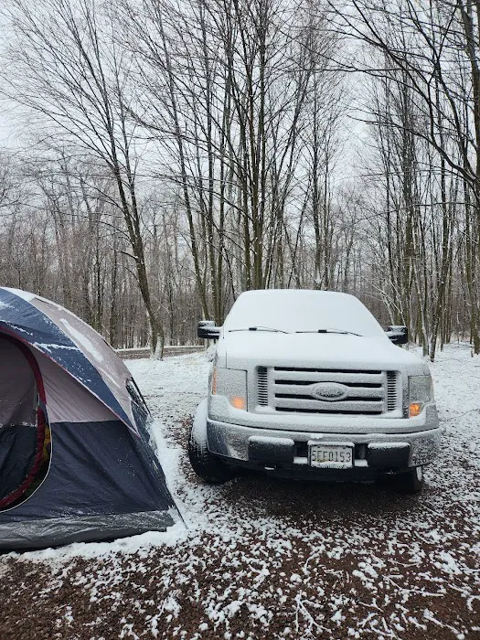 Forbes State Forest Motorized Site 6 7