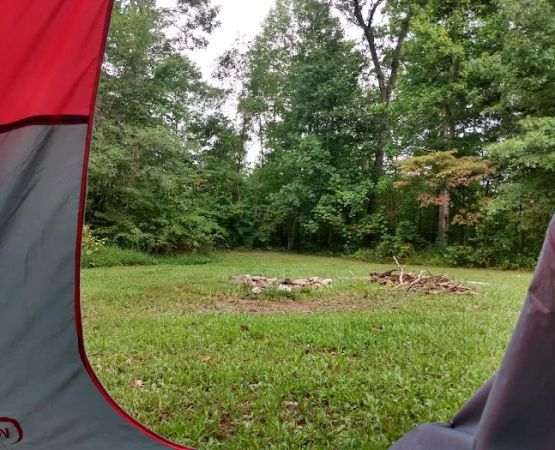 campsite 56