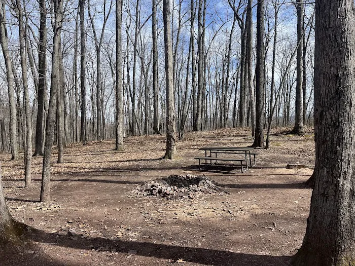 Campsite 72 0