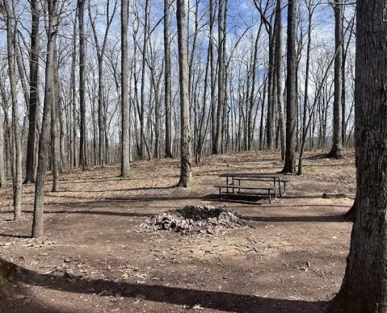 Campsite 72