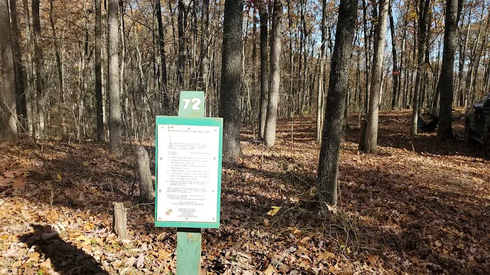 Campsite 72 4