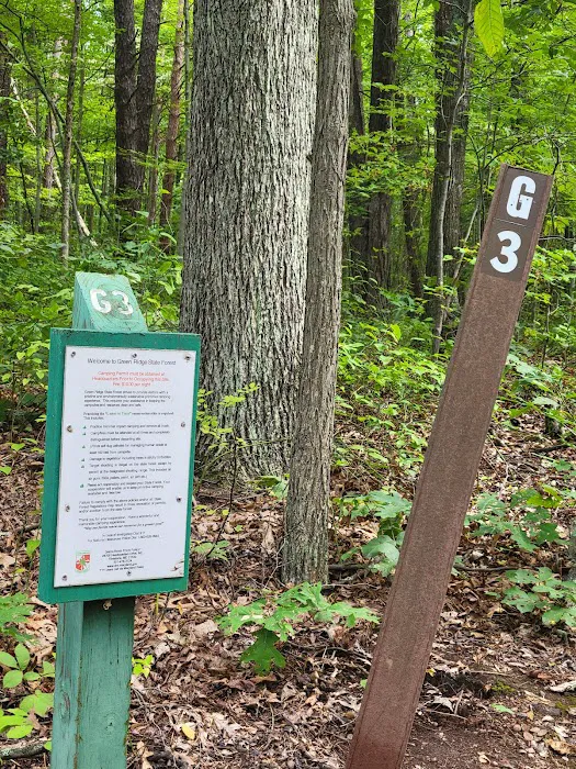 Group Campsite G-3 0