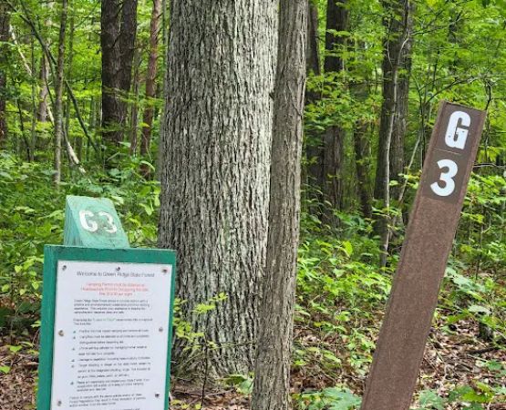 Group Campsite G-3