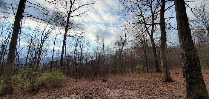 Green Ridge State Forest, campsite #83 0