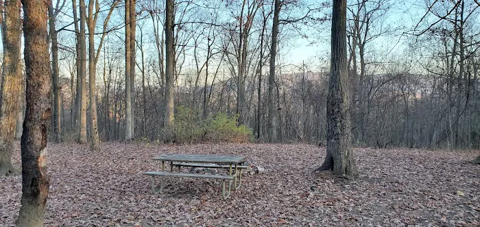 Green Ridge State Forest, campsite #83 2