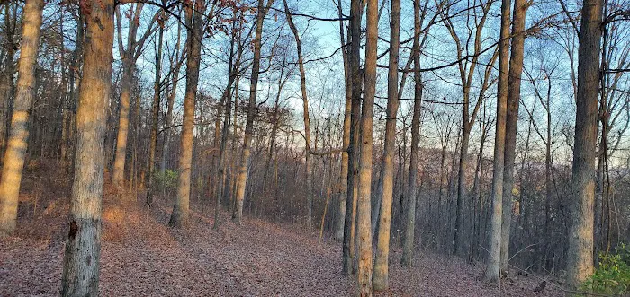 Green Ridge State Forest, campsite #83 3