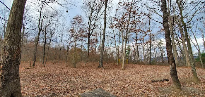 Green Ridge State Forest, campsite #83 1