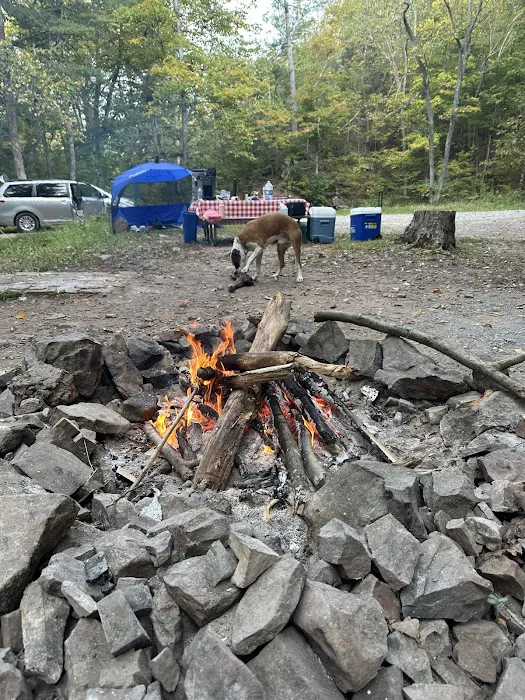 Green Ridge Campsite #81 2