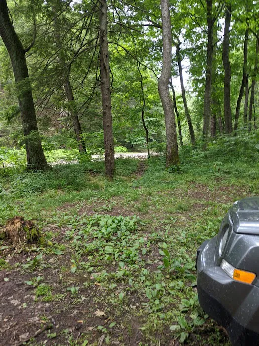 Green Ridge Campsite #81 0