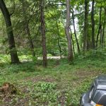 Green Ridge Campsite #81