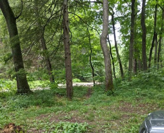 Green Ridge Campsite #81