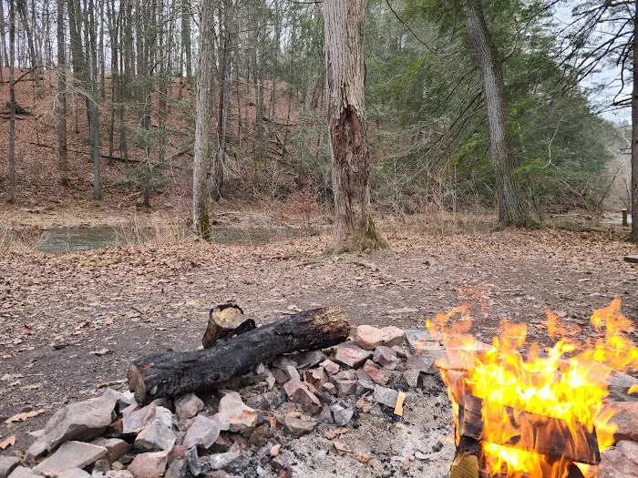 Green Ridge Campsite #81 1
