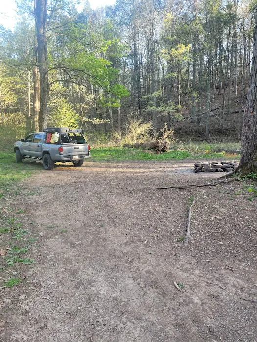 Green Ridge Campsite #81 6