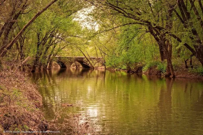 Sleepy Creek On the Potomac 5