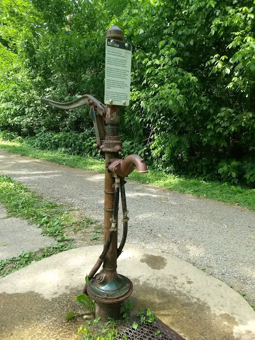 Opequon Junction Campsite 2