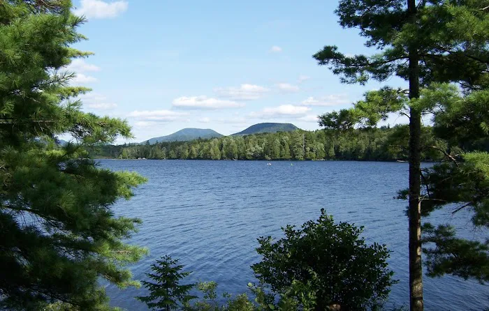 Forked Lake Site 52 0