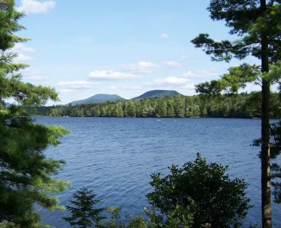 Forked Lake Site 52