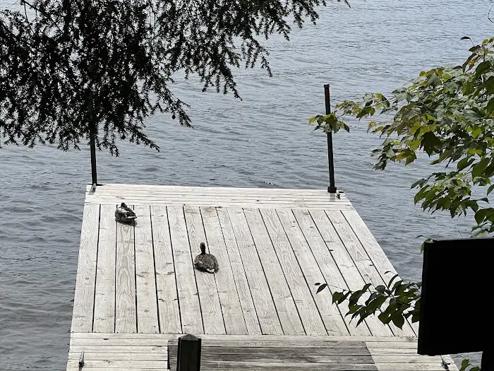 Alger Island Campground 6
