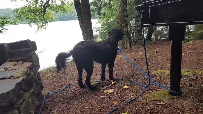 Alger Island Campground 2