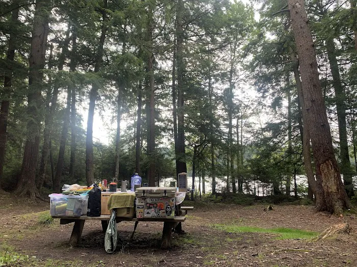 Alger Island Campground 1