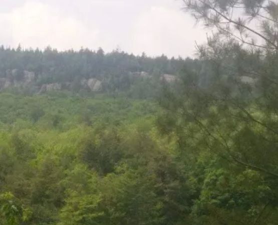Alger Island access point